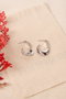 Heliophilia Silver Pendientes de Plata con Recubrimiento de Laca